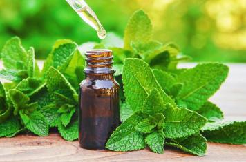 Essential oils against nosocomial pathogens