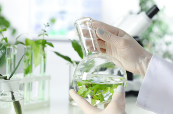 Anti-inflammatory effects of herbal extracts