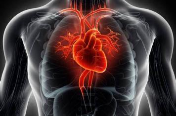 Apolipoprotein-A1 in CVDs