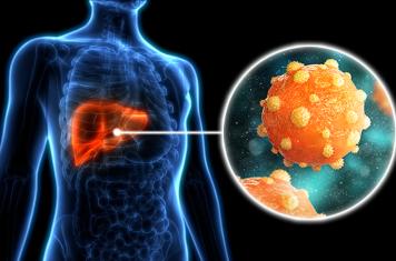 Mutations in HBV