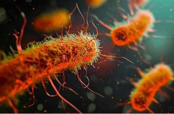 Biofilm inhibition and antifouling evaluation of sol-gel
